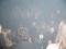 IMGP8321.JPG_t60.jpg