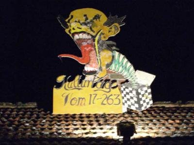 CIMG0776.jpg_t400.jpg