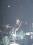 CIMG0921.jpg_t60.jpg